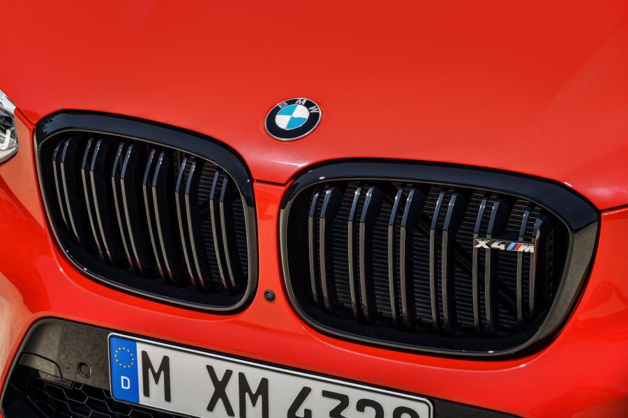 Детали экстерьера BMW X4 M Competition (F98) 2019 года  (WW) (фото 33 из 109)